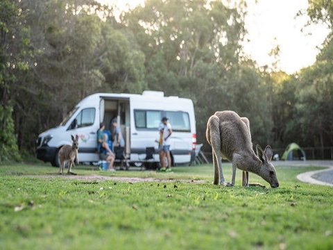Diamond Head Campground - Hervey Bay Accommodation 3