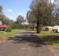 Dunedoo Caravan Park - Tourism Hervey Bay