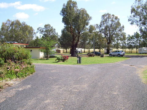 Dunedoo Caravan Park - Tourism Hervey Bay 2