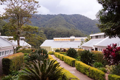 Eden Health Retreat - Hervey Bay Accommodation 0