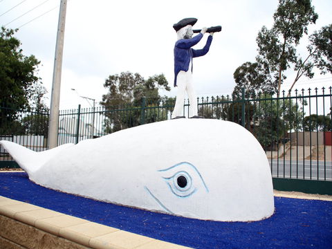 Explorers - Hervey Bay Accommodation 1