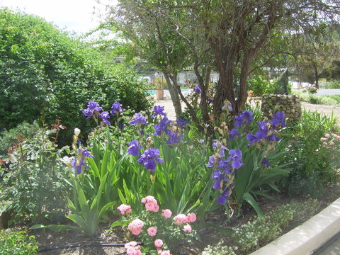 Garden Motor Inn (Golden Chain) - Tourism Hervey Bay 7