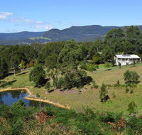 Golden Wattle - Kiaroo - Hervey Bay Accommodation