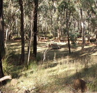 Greenbah campground
