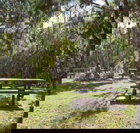 Illaroo group camping area - Hervey Bay Accommodation