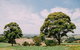 Kardella Country Homestead - thumb 9