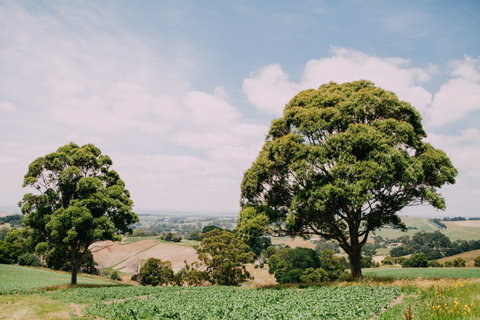 Kardella Country Homestead - Hervey Bay Accommodation 9