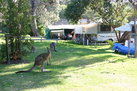 Lakesea Park - Hervey Bay Accommodation 5