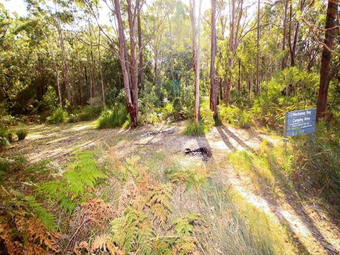 Mackaway Bay Campground - Hervey Bay Accommodation 0
