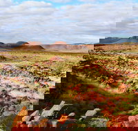 Miliyanha Camp at Millstream Chichester National Park - Hervey Bay Accommodation