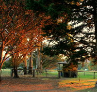 Misty Valley Country Cottages - Hervey Bay Accommodation