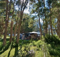 Neranie campground and picnic area - Hervey Bay Accommodation