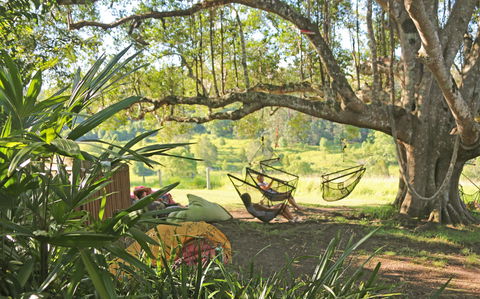 Nimbin Rox YHA - Hervey Bay Accommodation 0
