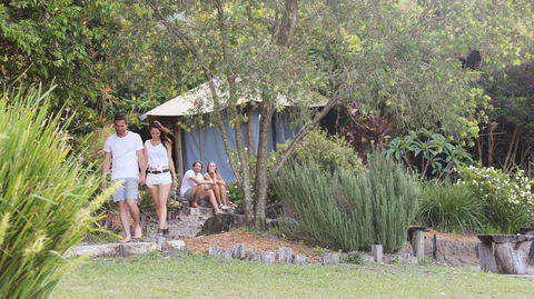 Nimbin Rox YHA - Hervey Bay Accommodation 1