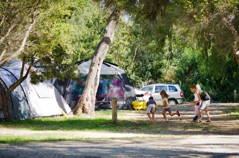 Rosebud Foreshore Camping - Hervey Bay Accommodation 2