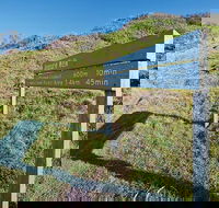 Shelley Head campground - Tourism Hervey Bay