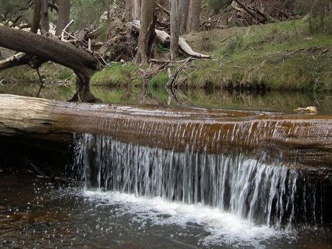 Silent Creek Campground - Hervey Bay Accommodation 1
