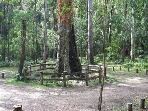 Six Mile Creek Campground - Hervey Bay Accommodation 0