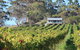 The Sleeping Lady Private Retreat - thumb 1