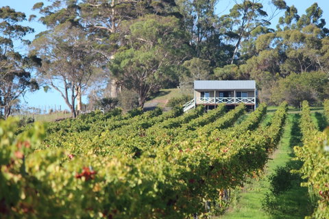 The Sleeping Lady Private Retreat - Hervey Bay Accommodation 1