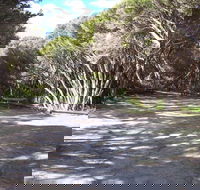 3 Mile Bend Campground - Beachport Conservation Park - Hervey Bay Accommodation