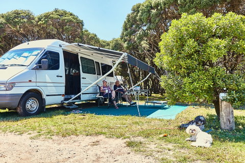 Anglesea Family Caravan Park - Hervey Bay Accommodation 2