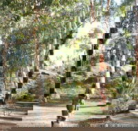 Bald Hill  Camp at Avon Valley National Park - Hervey Bay Accommodation