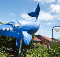 Blue Whale Motor Inn and Apartments - Tourism Hervey Bay