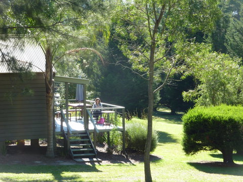 Blue Gums Cottage - Hervey Bay Accommodation 0