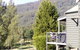 Blue Gums Cottage - thumb 1
