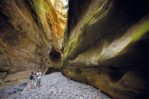 Carnarvon National Park Camping - Hervey Bay Accommodation 0