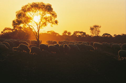 Clandulla Cottages & Farmstay - Hervey Bay Accommodation 0