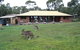 Grampians Retreat - thumb 2