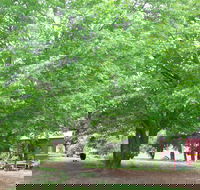 Hill End Holiday Ranch - Tourism Hervey Bay