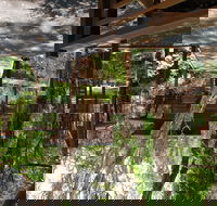 Melaleuca Surfside Backpackers - Tourism Hervey Bay