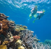 NRMA Cairns Holiday Park - Hervey Bay Accommodation