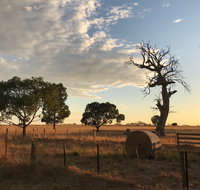 Rocklea Farm