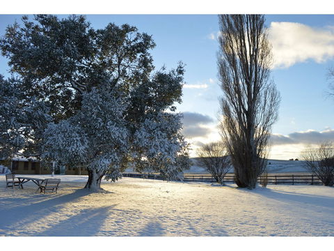 Snowy Mountains Resort - Hervey Bay Accommodation 0