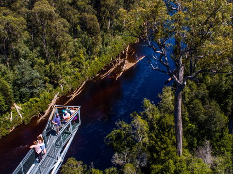 Tahune Adventures Tasmania - Lodge And Cabin - Tourism Hervey Bay 1