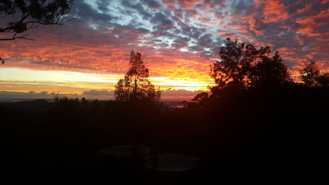 Tamborine Mountain Bed And Breakfast - Hervey Bay Accommodation 2