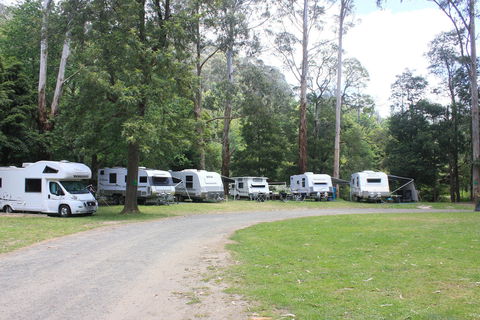 Tarra Valley Caravan Park - Tourism Hervey Bay 2