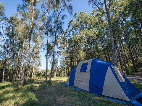 Tattersalls Campground - Hervey Bay Accommodation 1