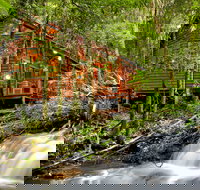 The Mouses House - Rainforest Retreat - Hervey Bay Accommodation