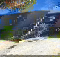 Tree Top - Tourism Hervey Bay