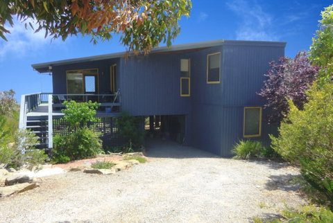 Tree Top - Hervey Bay Accommodation 0