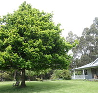 Wavestation - Tourism Hervey Bay