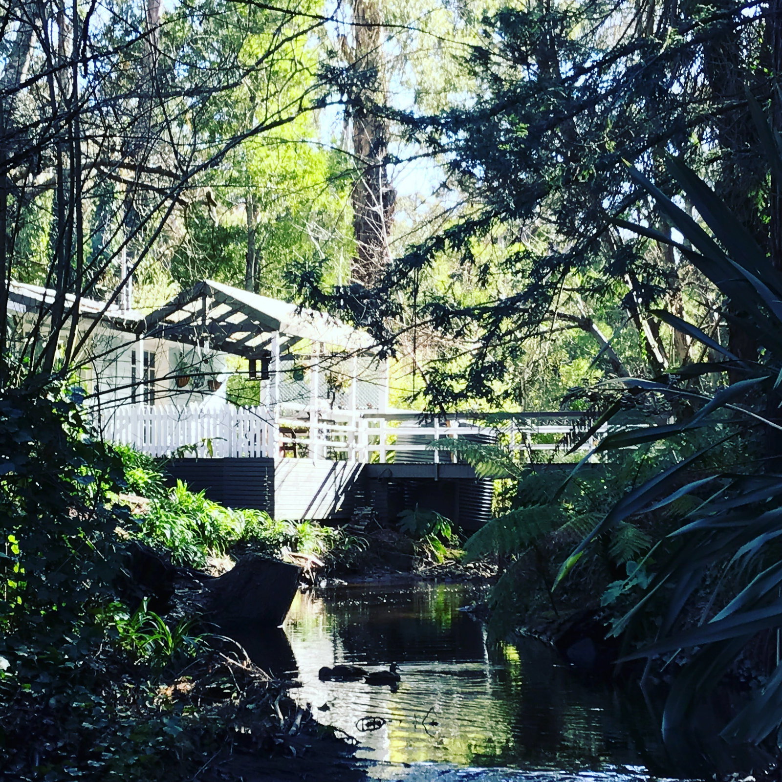 Hervey Bay Accommodation