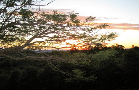 Annie's Place Bed And Breakfast - Tourism Hervey Bay 0