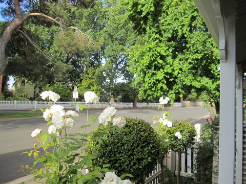 Arendon Cottage - Hervey Bay Accommodation 1