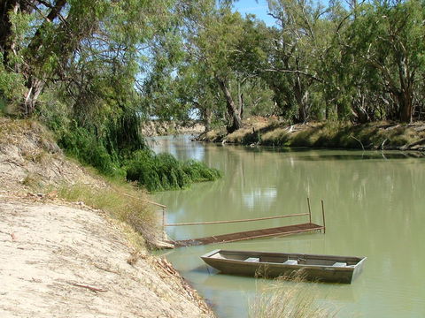 Avoca-on-Darling Hospitality - Tourism Hervey Bay 2
